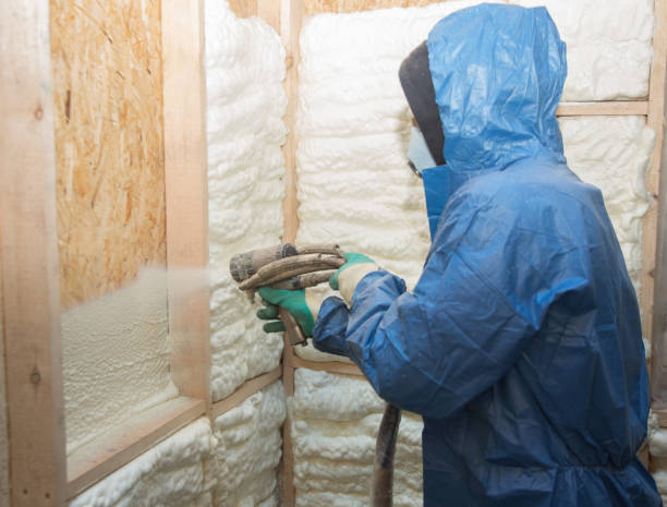 Best Spray Foam Insulation  in USA